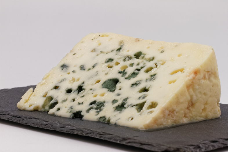 Bluefort - Dutch Cheese Types
