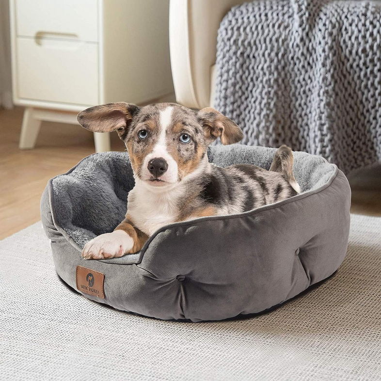 Asvin Small Dog Bed for Small Dogs